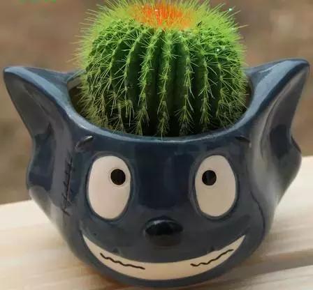 ʵã40ֲֳϻѶղ
