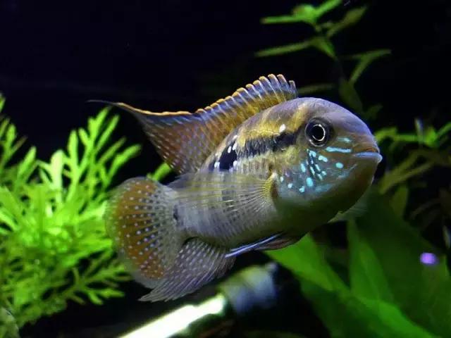 ϼ亱񡢵һ㣬ڼˣպã