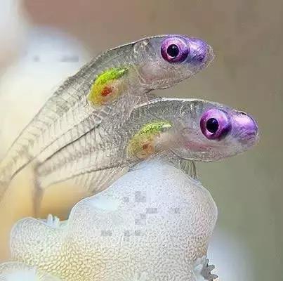 ϼ亱񡢵һ㣬ڼˣպã