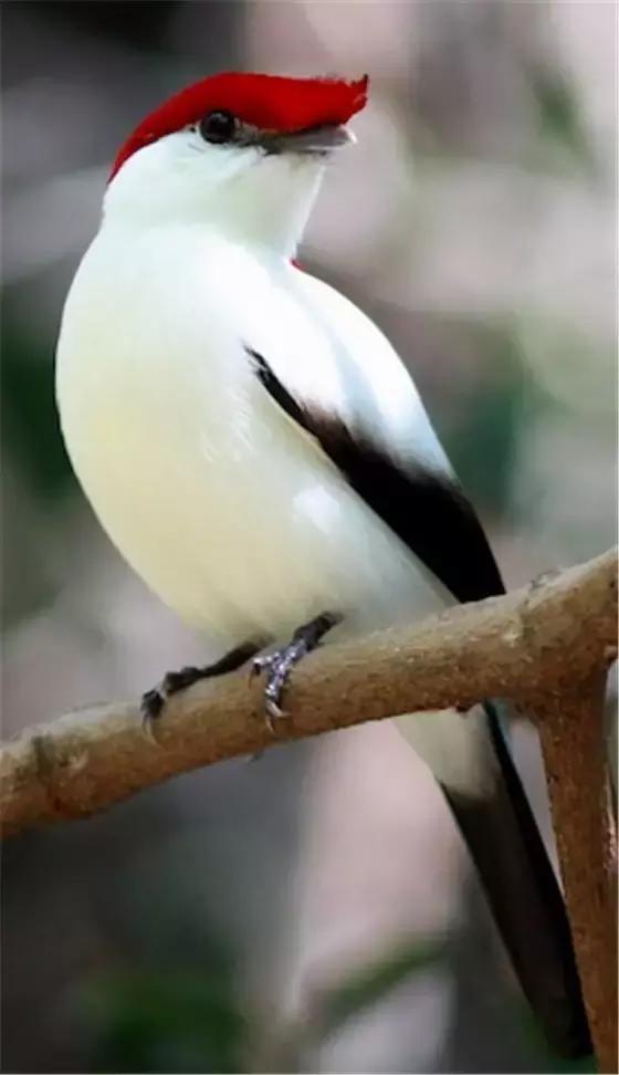 ϼ亱񡢵һ㣬ڼˣպã