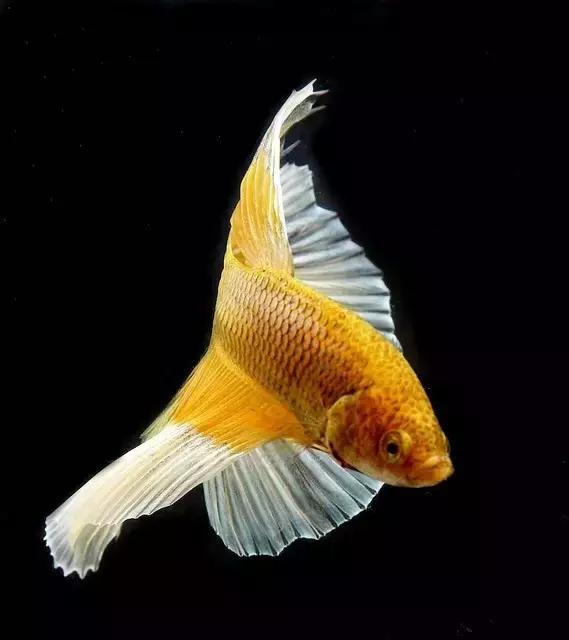 ϼ亱񡢵һ㣬ڼˣպã