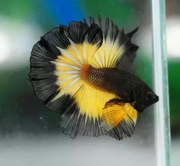 ϼ亱񡢵һ㣬ڼˣպã