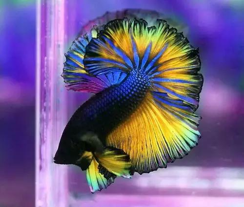 ϼ亱񡢵һ㣬ڼˣպã