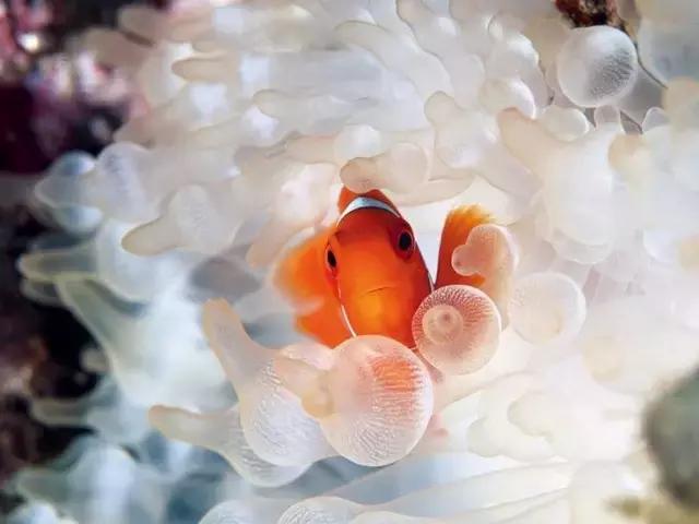 ϼ亱񡢵һ㣬ڼˣպã