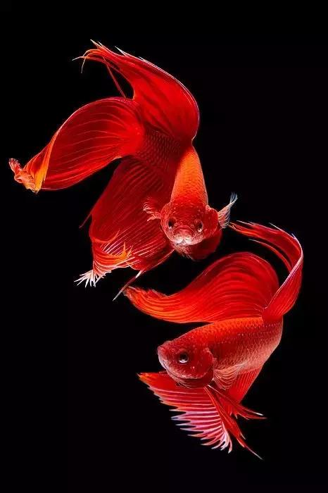 ϼ亱񡢵һ㣬ڼˣպã