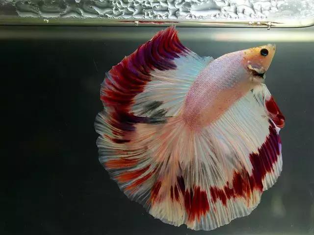 ϼ亱񡢵һ㣬ڼˣպã