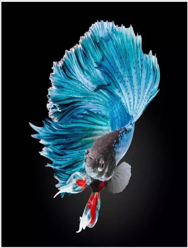 ϼ亱񡢵һ㣬ڼˣպã