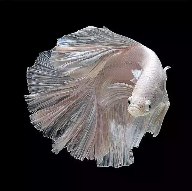 ϼ亱񡢵һ㣬ڼˣպã