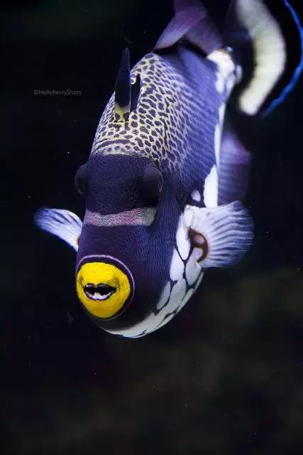 ϼ亱񡢵һ㣬ڼˣպã