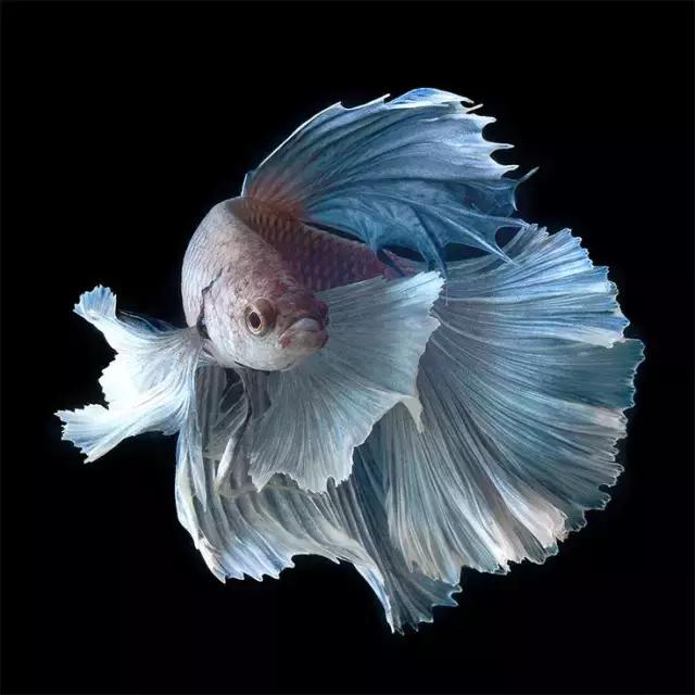 ϼ亱񡢵һ㣬ڼˣպã
