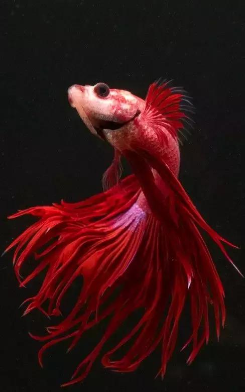 ϼ亱񡢵һ㣬ڼˣպã