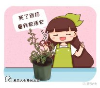 ҵĻ͸ˣӣ1оȻ䳤