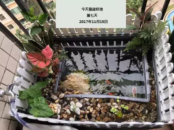 쾰