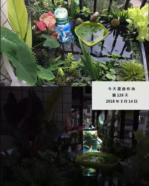 쾰