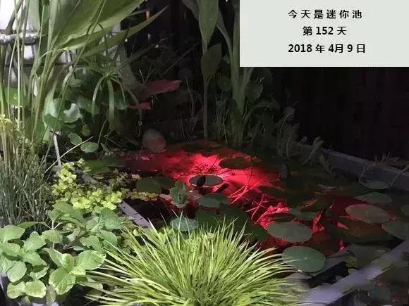 쾰