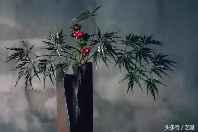 ֮ţŴ˵ʮ£