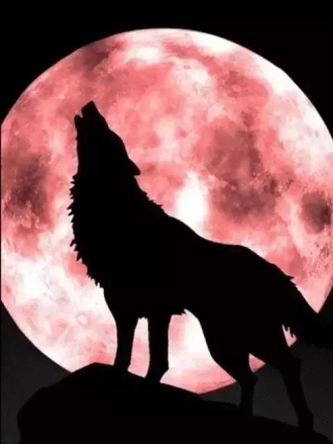 ���ʣ�����ȥ�Բݣ�̫�����ˣ�