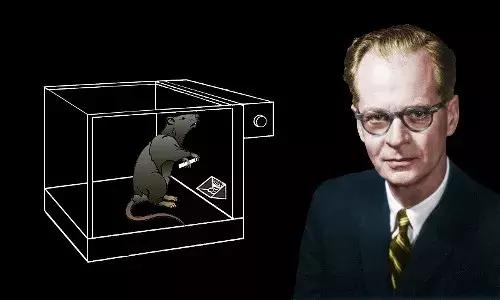 赌瘾破坏力不亚于吸毒,它凭什么利用你的天性、劫持你的大脑?