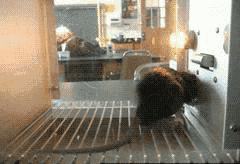 赌瘾破坏力不亚于吸毒,它凭什么利用你的天性、劫持你的大脑?