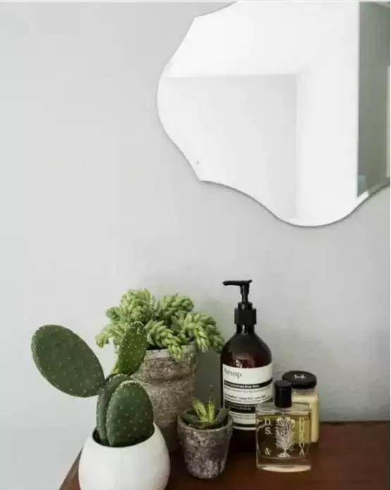 别老是绿萝绿萝!最全的吸毒植物手册,选择对了才有效!