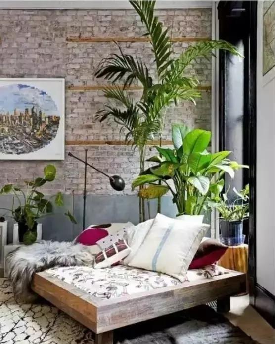 别老是绿萝绿萝!最全的吸毒植物手册,选择对了才有效!