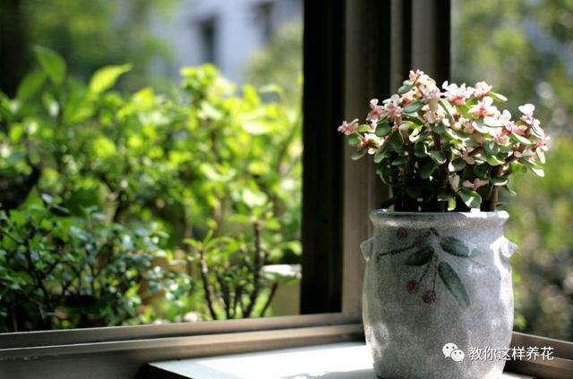 �ļ���ˮ�н�������6��Ҫ����������������ʣ�裡