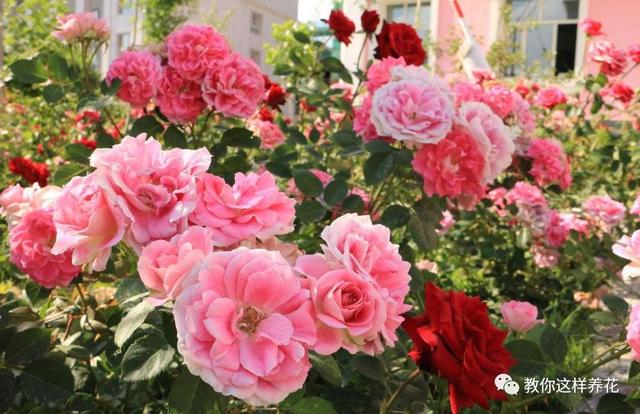 �ļ���ˮ�н�������6��Ҫ����������������ʣ�裡