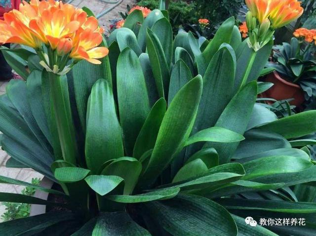 �ļ���ˮ�н�������6��Ҫ����������������ʣ�裡