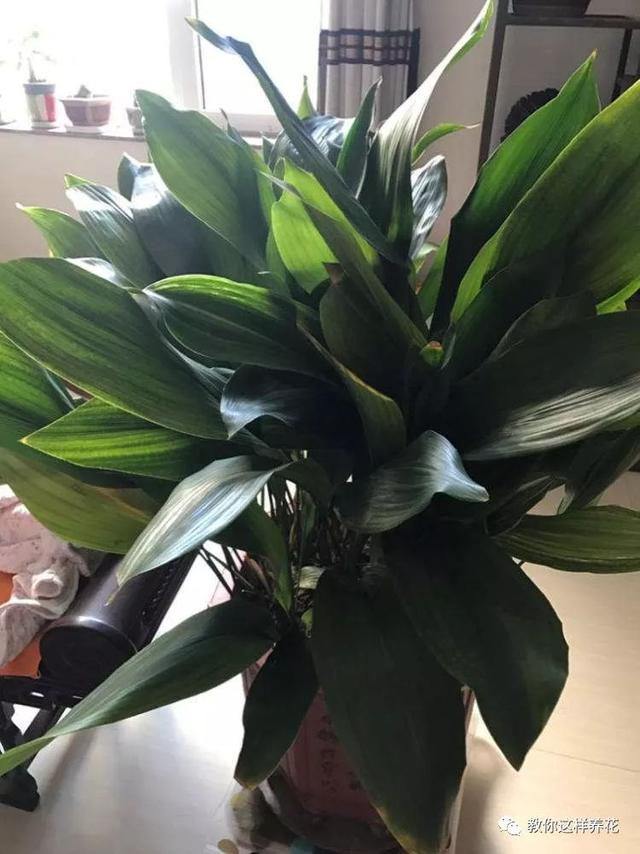 �ļ���ˮ�н�������6��Ҫ����������������ʣ�裡