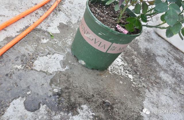 �ļ���ˮ�н�������6��Ҫ����������������ʣ�裡