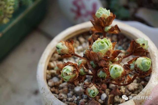 �ļ���ˮ�н�������6��Ҫ����������������ʣ�裡