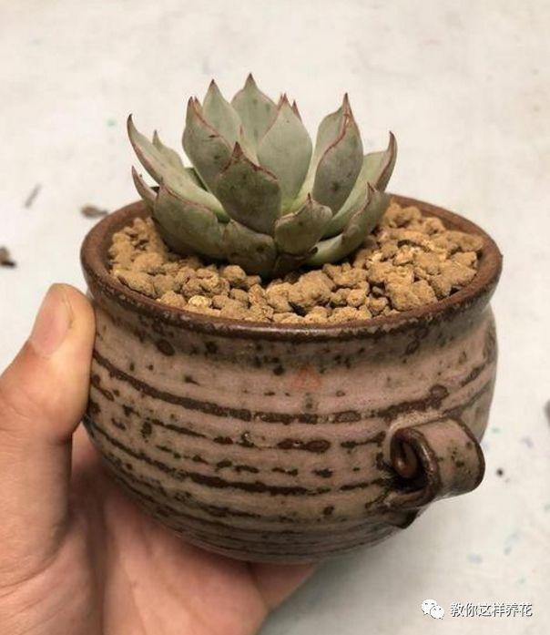 �ļ���ˮ�н�������6��Ҫ����������������ʣ�裡