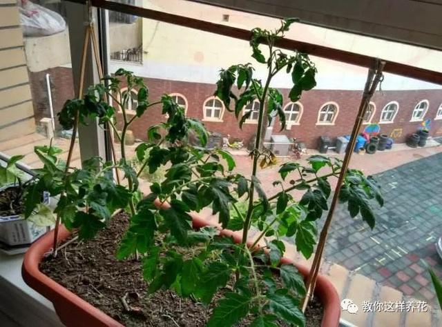 �ļ���ˮ�н�������6��Ҫ����������������ʣ�裡