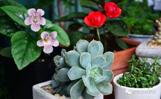 �ļ���ˮ�н�������6��Ҫ����������������ʣ�裡