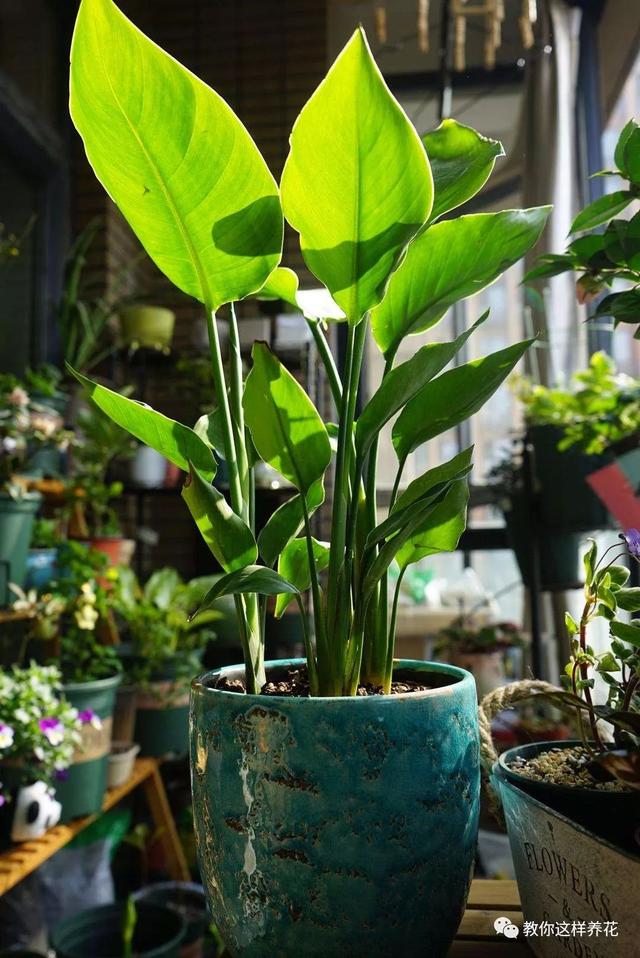 �ļ���ˮ�н�������6��Ҫ����������������ʣ�裡