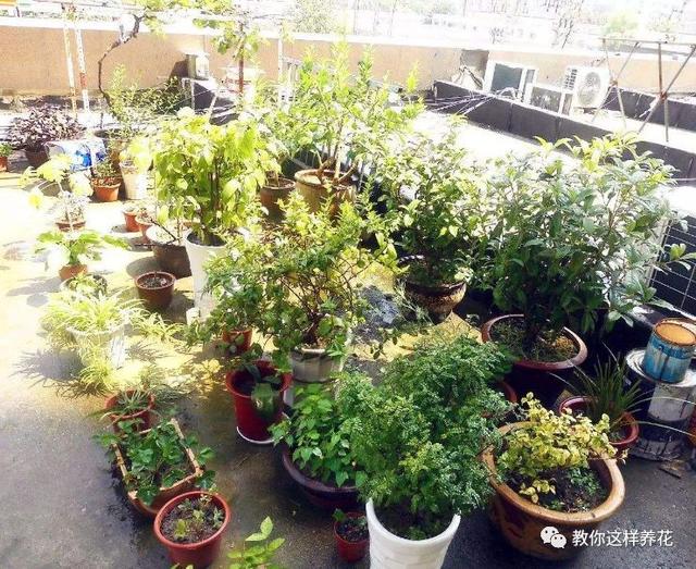 �ļ���ˮ�н�������6��Ҫ����������������ʣ�裡