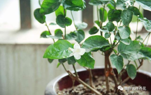 �ļ���ˮ�н�������6��Ҫ����������������ʣ�裡