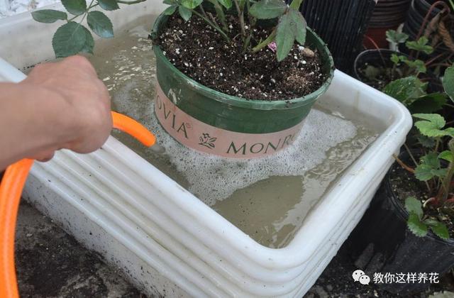 �ļ���ˮ�н�������6��Ҫ����������������ʣ�裡