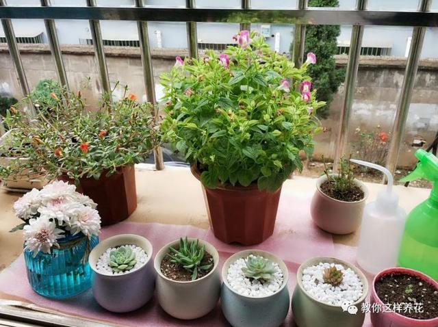 �ļ���ˮ�н�������6��Ҫ����������������ʣ�裡