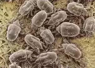 �������ϯ����600��ֻ���棡���ҹ���ϴ+��ɹ��û���õġ�������ֻҪ2���Ӹ㶨