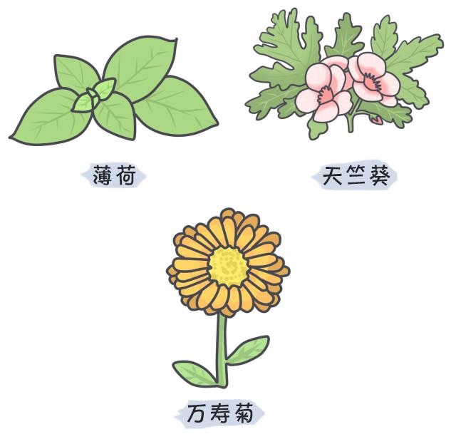 ��6�����������ӣ�ѧ���⼸�У�������Ҳ���ҿ����㣡