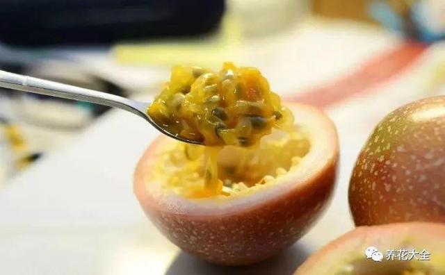 ��ʣ�İ�������˷ѣ��������Ӿ����֣��������ѹ��֦��