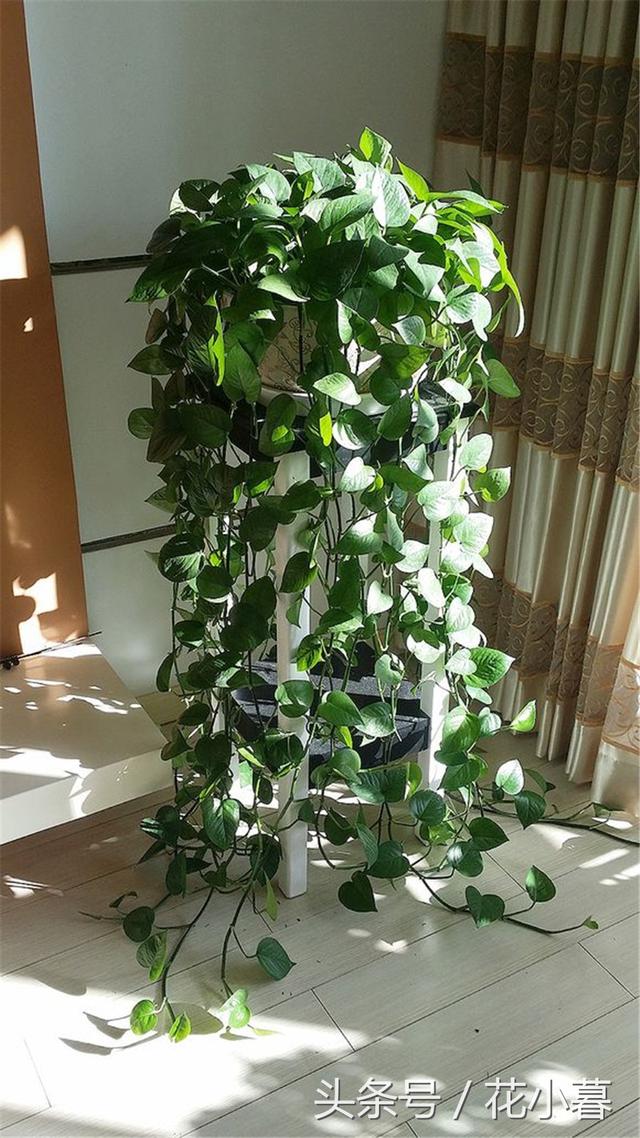 �����Ǹ����Ͼƹ�����ƽʱһС�ף��賤ɲ��ס