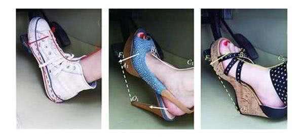 ����˾����Ҫ������62����ʻ��������ʡ�ͼ��ɣ�