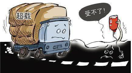 ����˾����Ҫ������62����ʻ��������ʡ�ͼ��ɣ�