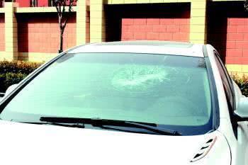 ����˾����Ҫ������62����ʻ��������ʡ�ͼ��ɣ�