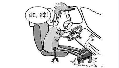 ����˾����Ҫ������62����ʻ��������ʡ�ͼ��ɣ�