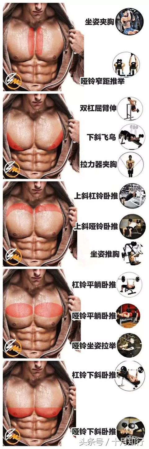 要练出完美胸肌,一张图告诉你怎么做
