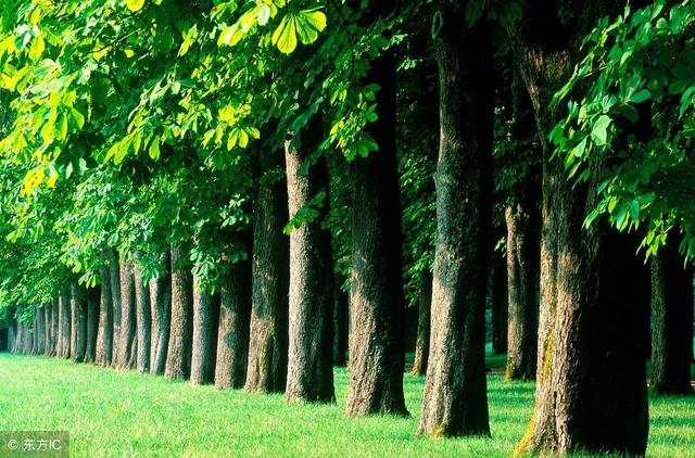 ��Ƥ̫����ô�죿��ס��2��5�У�������Ƥ�������һ���ʺ��㣡