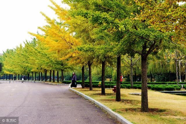 ��Ƥ̫����ô�죿��ס��2��5�У�������Ƥ�������һ���ʺ��㣡